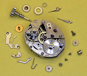 Parts of a watch.